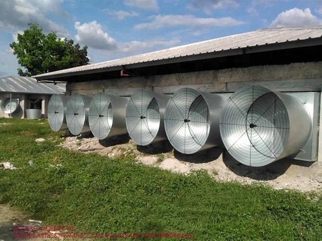 latest company case about Metal Poultry Ventilation System, wall exhaust fans with louvers , 24 inch exhaust fan with shutters  1