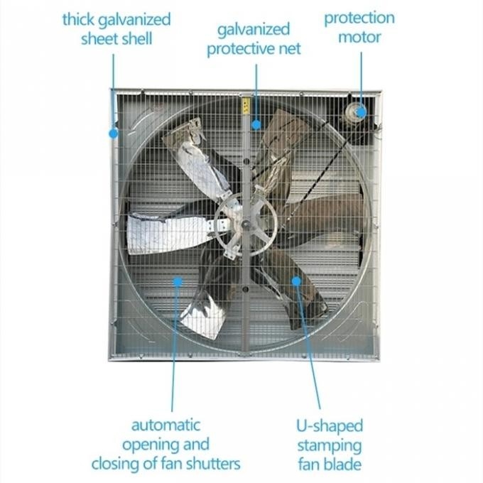 latest company case about Heavy Duty Poultry Ventilation System Exhaust Fan For Cooler, Window Mounted Exhaust Fan  0