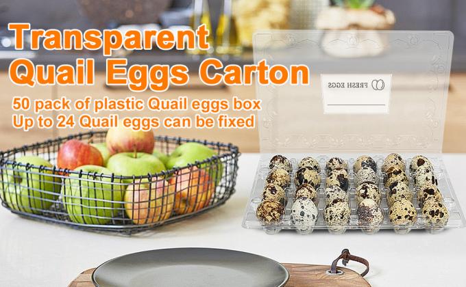 Small Plastic Egg Cartons - Clear 2 Dozen Quail Eggs Tray - Reusable Storage Holder For Small, Pheasant, Pigeon Eggs 0