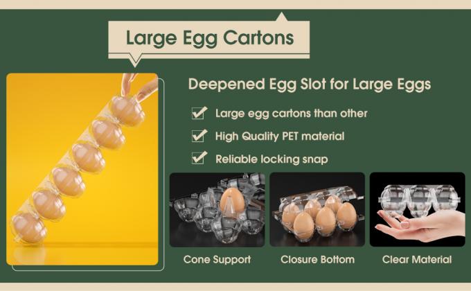 Clear Plastic Egg Cartons - Clear Containers With Date Labels - Bulk Egg Storage Set - Reusable Storage Containers - 12-Count, Pack Of 48 1