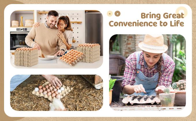 Pack Egg Cartons Crates Bulk 30 Cell Pulp Fiber Egg Flats Reusable Stackable Cardboard Tray For Home Storing Packing Roach Colony Soundproofing 7