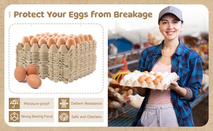 Pack Egg Cartons Crates Bulk 30 Cell Pulp Fiber Egg Flats Reusable Stackable Cardboard Tray For Home Storing Packing Roach Colony Soundproofing 6