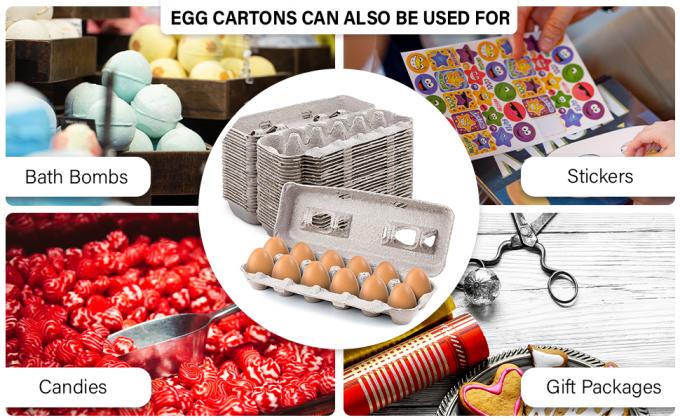Biodegradable Paper Pulp Egg Carton Recyclable Pulp Fiber Chicken Egg Tray Cover Packaging Box Large Blank Egg Cartons, Bulk Pack for Large Eggs, Custom Branding, Safe & Secure Egg Storage 0