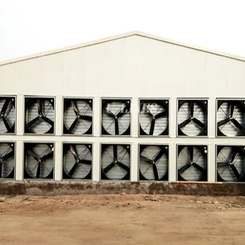 YANTAI BAGEASE POULTRY FARMING EQUIRMENT CO.,LTD