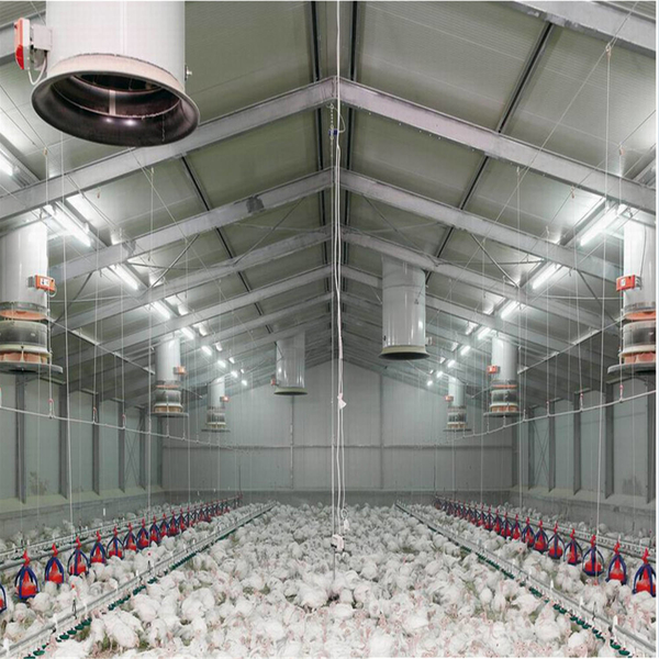 YANTAI BAGEASE POULTRY FARMING EQUIRMENT CO.,LTD