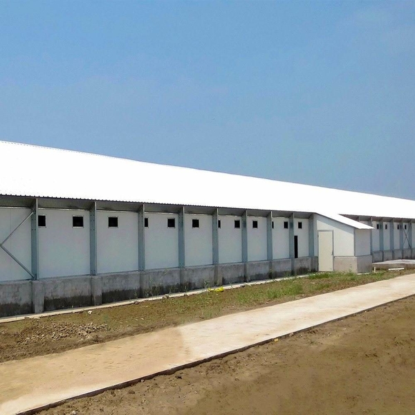 YANTAI BAGEASE POULTRY FARMING EQUIRMENT CO.,LTD