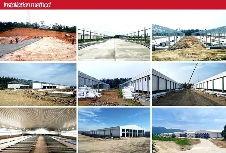 YANTAI BAGEASE POULTRY FARMING EQUIRMENT CO.,LTD