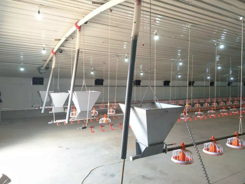 YANTAI BAGEASE POULTRY FARMING EQUIRMENT CO.,LTD manufacturer production line