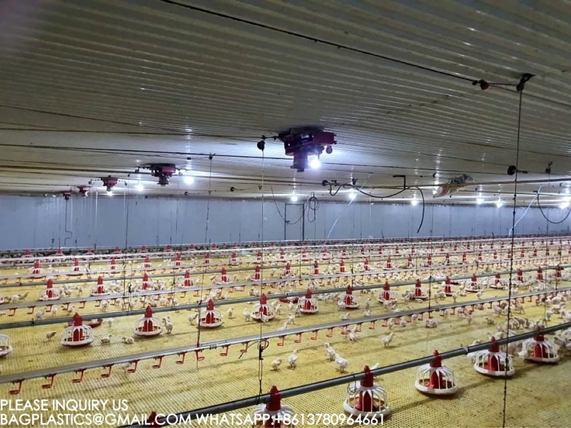 YANTAI BAGEASE POULTRY FARMING EQUIRMENT CO.,LTD manufacturer production line