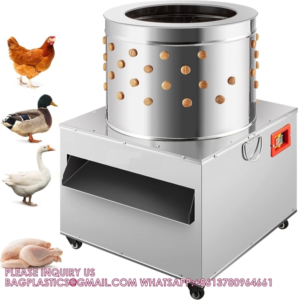 YANTAI BAGEASE POULTRY FARMING EQUIRMENT CO.,LTD manufacturer production line