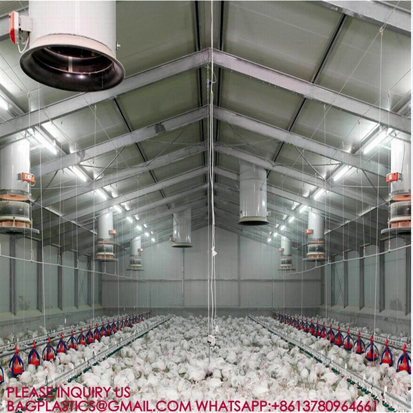 YANTAI BAGEASE POULTRY FARMING EQUIRMENT CO.,LTD manufacturer production line