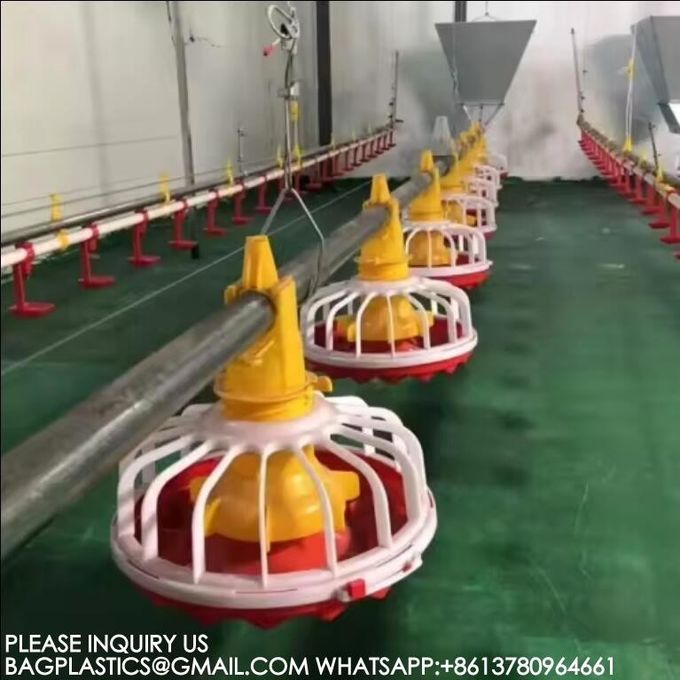 Agricultural Products Automatic Chicken Feeder Agricultural Greenhouses Animals Feeder 3