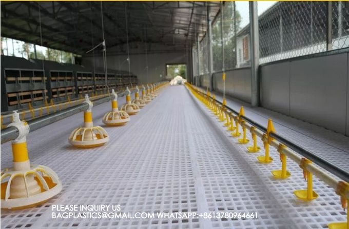 Agricultural Products Automatic Chicken Feeder Agricultural Greenhouses Animals Feeder 1