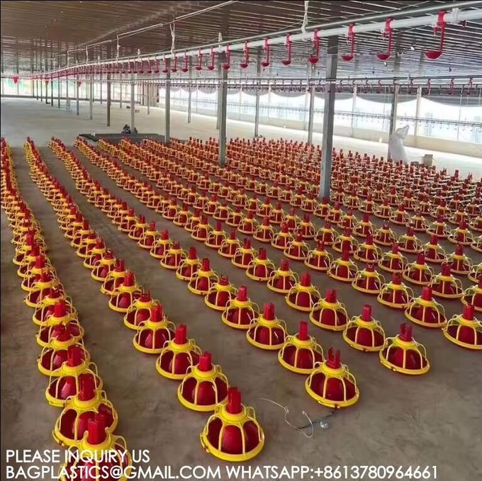 Agricultural Products Automatic Chicken Feeder Agricultural Greenhouses Animals Feeder 0