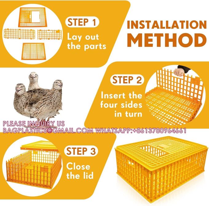 Poultry Carrier Crate Chicken Transport Cage Bird Chicken Carrier Travel Crate Basket Box 7