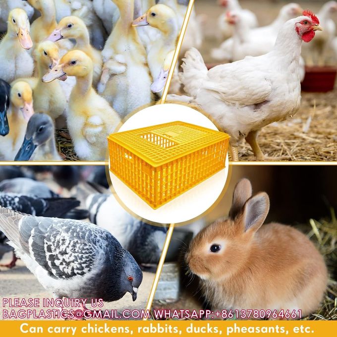 Poultry Carrier Crate Chicken Transport Cage Bird Chicken Carrier Travel Crate Basket Box 6