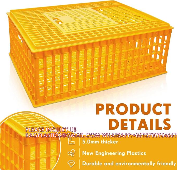Poultry Carrier Crate Chicken Transport Cage Bird Chicken Carrier Travel Crate Basket Box 5