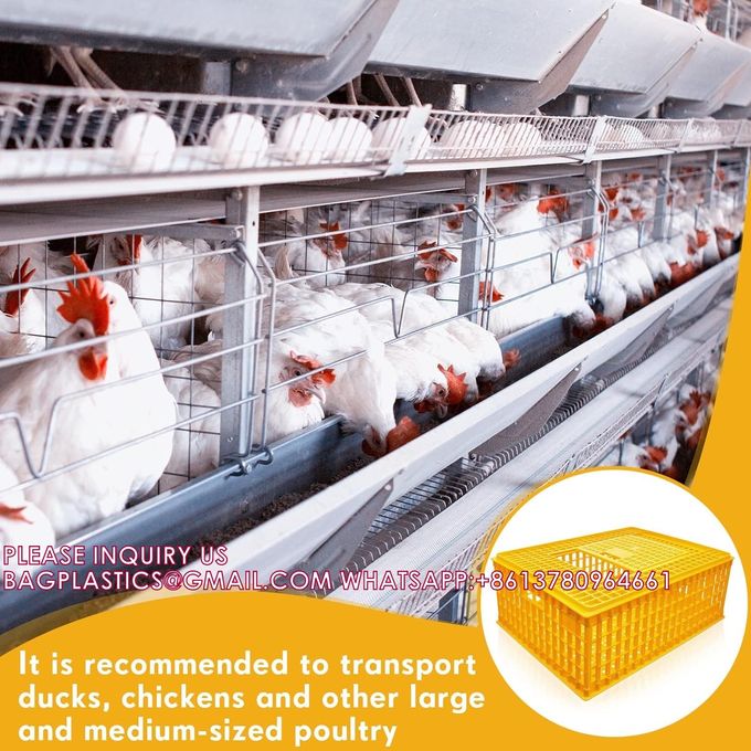 Poultry Carrier Crate Chicken Transport Cage Bird Chicken Carrier Travel Crate Basket Box 4