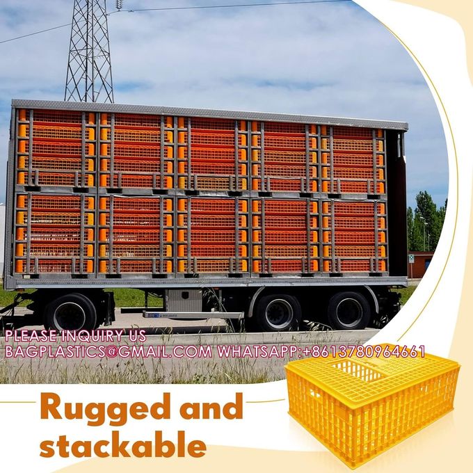 Poultry Carrier Crate Chicken Transport Cage Bird Chicken Carrier Travel Crate Basket Box 1