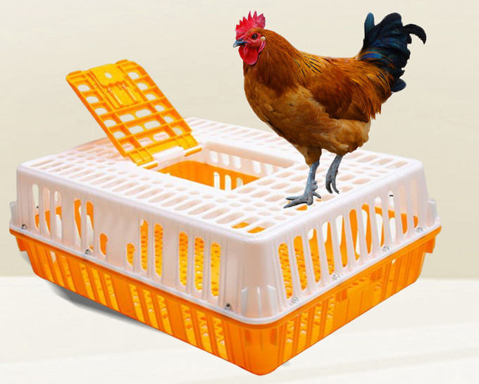 Poultry Carrier Crate Chicken Transport Cage Bird Chicken Carrier Travel Crate Basket Box 0