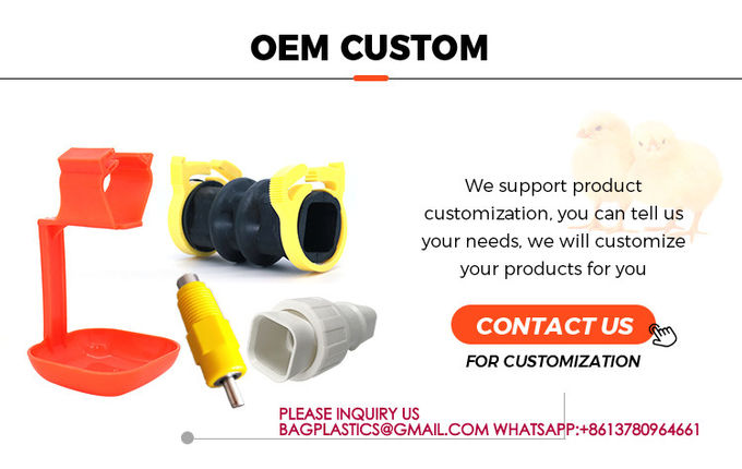Poultry Farm High Quality Adult And Baby Chicks Poultry Slats baby chicks poultry slats 7