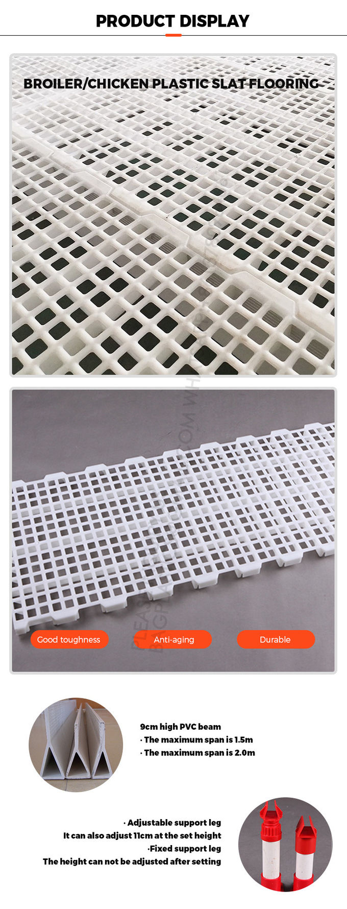 Poultry Farm High Quality Adult And Baby Chicks Poultry Slats baby chicks poultry slats 8