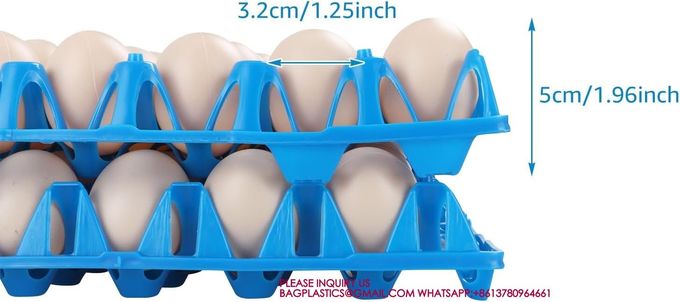 Plastic Tray And Egg Box Plastic Egg Tray For 30 Holes Egg Plastic Tray Plastic Egg Racks 5