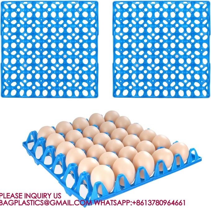 Plastic Tray And Egg Box Plastic Egg Tray For 30 Holes Egg Plastic Tray Plastic Egg Racks 1