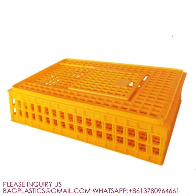 latest company news about 8-10 Chickens Poultry Carrier Crate Pp For Transportation  2