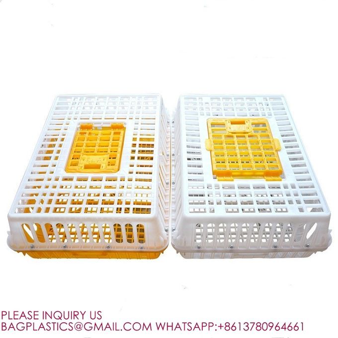 latest company news about 8-10 Chickens Poultry Carrier Crate Pp For Transportation  0