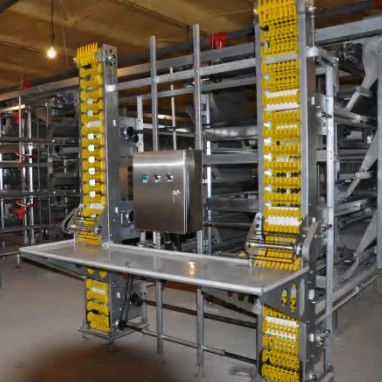Modern Design H Type Automatic Egg Poultry Farms Battery Layer Chicken Cages 0
