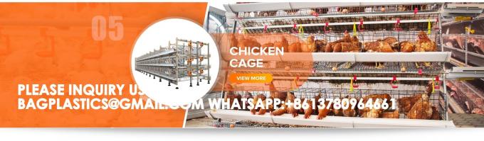 YANTAI BAGEASE POULTRY FARMING EQUIRMENT CO.,LTD factory production line 1
