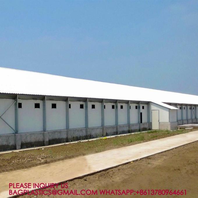YANTAI BAGEASE POULTRY FARMING EQUIRMENT CO.,LTD factory production line 5