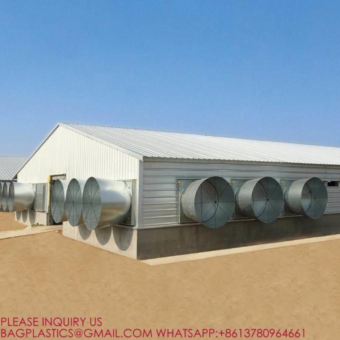 YANTAI BAGEASE POULTRY FARMING EQUIRMENT CO.,LTD factory production line 6