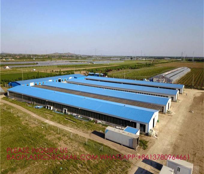 YANTAI BAGEASE POULTRY FARMING EQUIRMENT CO.,LTD factory production line 1