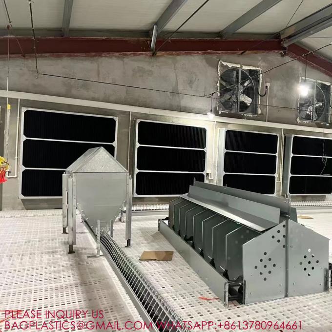 YANTAI BAGEASE POULTRY FARMING EQUIRMENT CO.,LTD factory production line 3