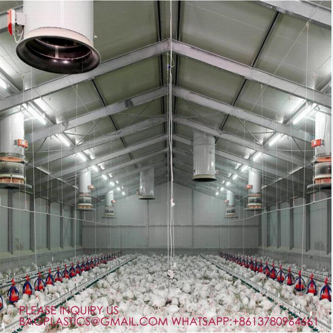YANTAI BAGEASE POULTRY FARMING EQUIRMENT CO.,LTD factory production line 4