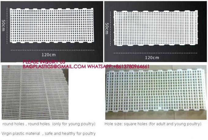 Chicken Plastic Slat Floor Poultry Farm Slatted Flooring Green color 40*27cm Rabbit Slat Floor 3