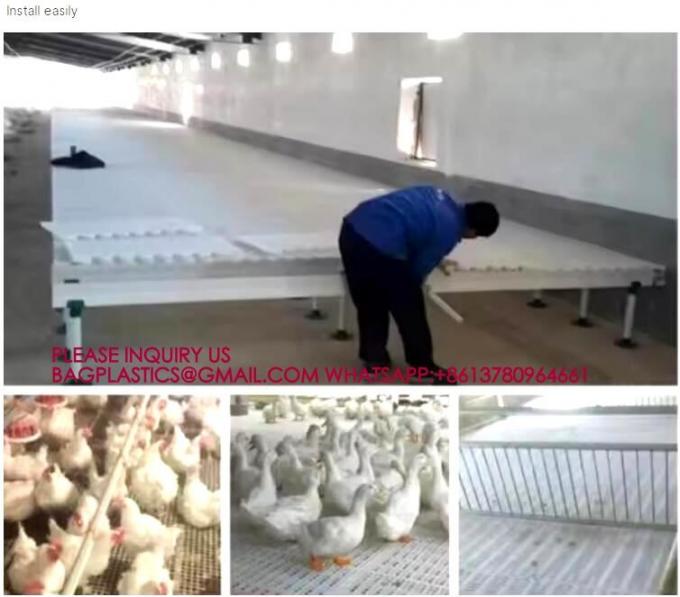 Chicken Plastic Slat Floor Poultry Farm Slatted Flooring Green color 40*27cm Rabbit Slat Floor 4