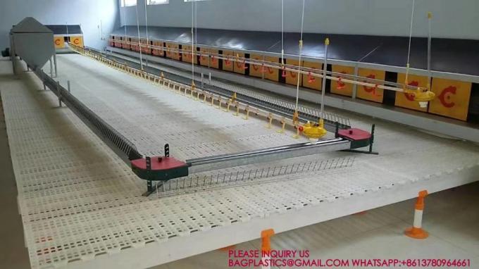 Green Color 40*27cm Rabbit Slat Floor Chicken Plastic Slat Floor Poultry Farm Slatted Flooring 3