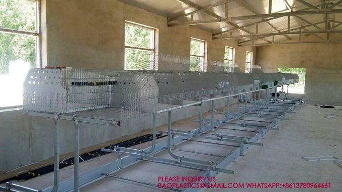 Rabbit Cage, Cage Net Galvanized Wire Poultry Farming Meat Broiler Battery Rearing Cage 1
