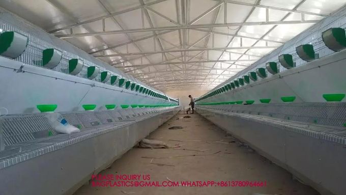 Rabbit Cage, Cage Net Galvanized Wire Poultry Farming Meat Broiler Battery Rearing Cage 0