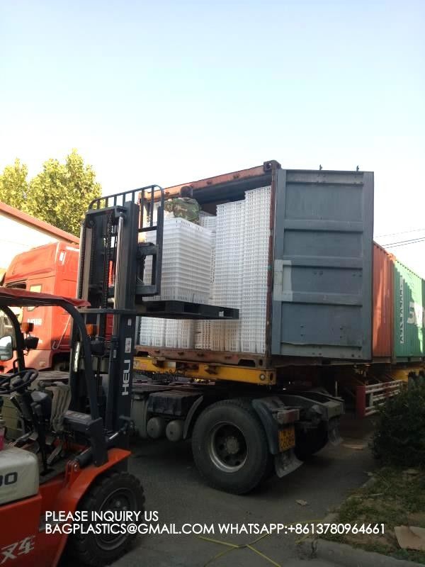 sustainable white chicken cage 680*490*160mm Virgin PP Transportation Chicken Cage 0