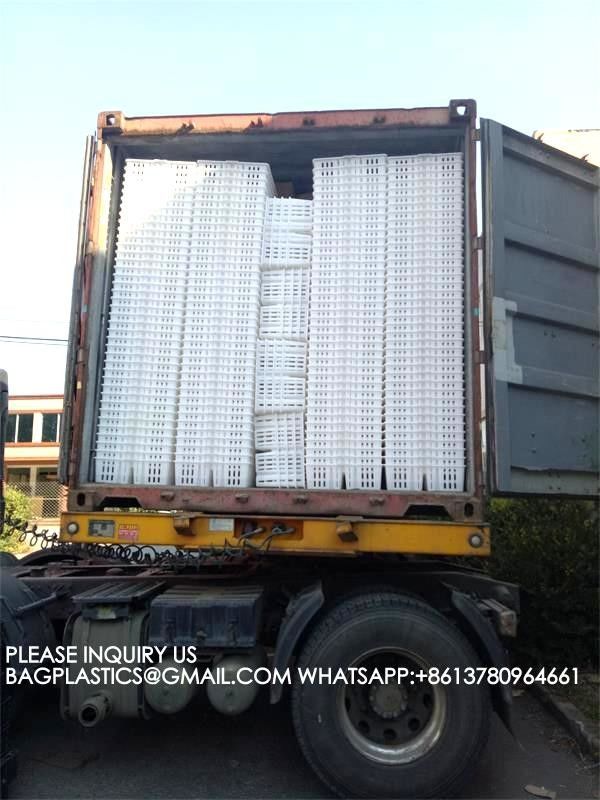 sustainable white chicken cage 680*490*160mm Virgin PP Transportation Chicken Cage 1