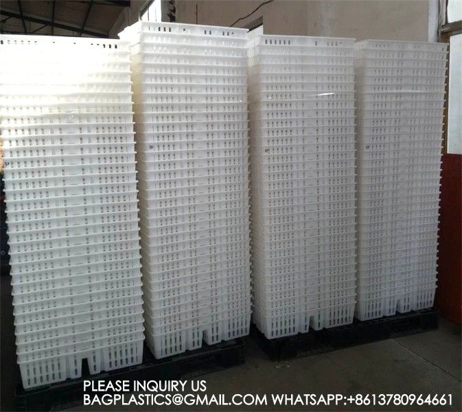 sustainable white chicken cage 680*490*160mm Virgin PP Transportation Chicken Cage 3
