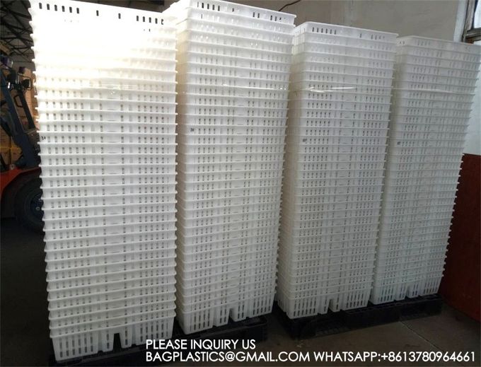 sustainable white chicken cage 680*490*160mm Virgin PP Transportation Chicken Cage 4