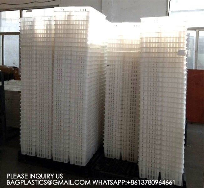 sustainable white chicken cage 680*490*160mm Virgin PP Transportation Chicken Cage 5