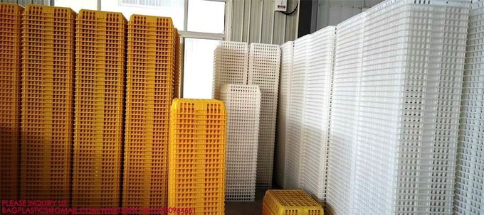 Plastic Poultry Transport Cage Transport Box Transportation Crate Chicken, Duck, Goose Cage 0