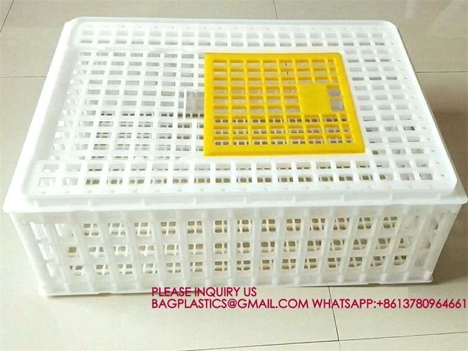 Poultry Plastic Transport Cage Crate Chicken Turnover Box For Farm Use For Duck Pigeon 8