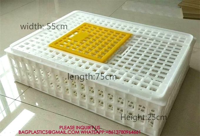 Poultry Plastic Transport Cage Crate Chicken Turnover Box For Farm Use For Duck Pigeon 4
